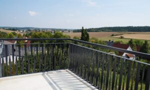 DSC00356