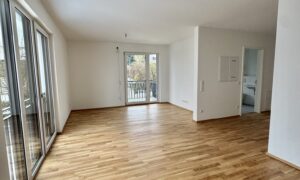 Wohnzimmer 1